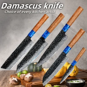 Damascus Steel - Fruit, Vegetable Utility Knife